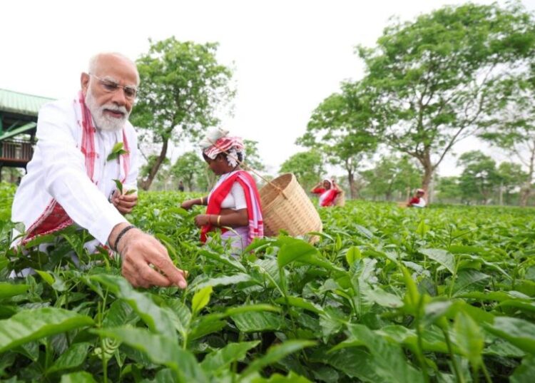 ‘मैं भी चाय वाला हूं’, जब छोटा था तो चाय बेचता था, आपकी मेहनत मेरे गांव तक पहुंची : पीएम मोदी
