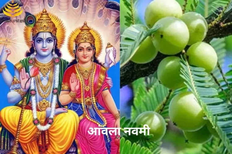 आंवला नवमी आज: जानें शुभ मुहूर्त और पूजाविधि, जानें इस दिन क्यों होती है आंवले की पूजा?