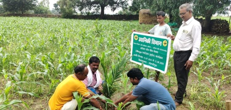 बंदूक की गूंज से फूलों की महक तक का सफर: बस्तर में साग-सब्जी, फलों की खेती से चमत्कारिक बदलाव