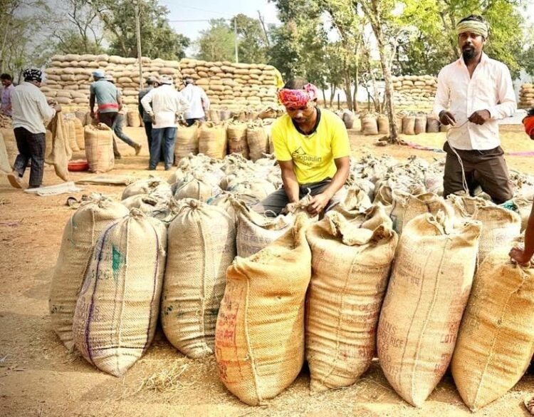 धमतरी में रिकॉर्ड रफ्तार से धान खरीदी, किसानों को 409 करोड़ का हुआ भुगतान