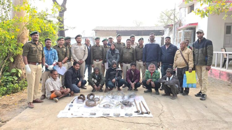 मादा तेंदुआ का करंट लगातार सामूहिक शिकार करने वाले 7 आरोपी गिरफ्तार, DFO दिपेश कपिल के नेतृत्व में 24 घंटे में मिली सफलता