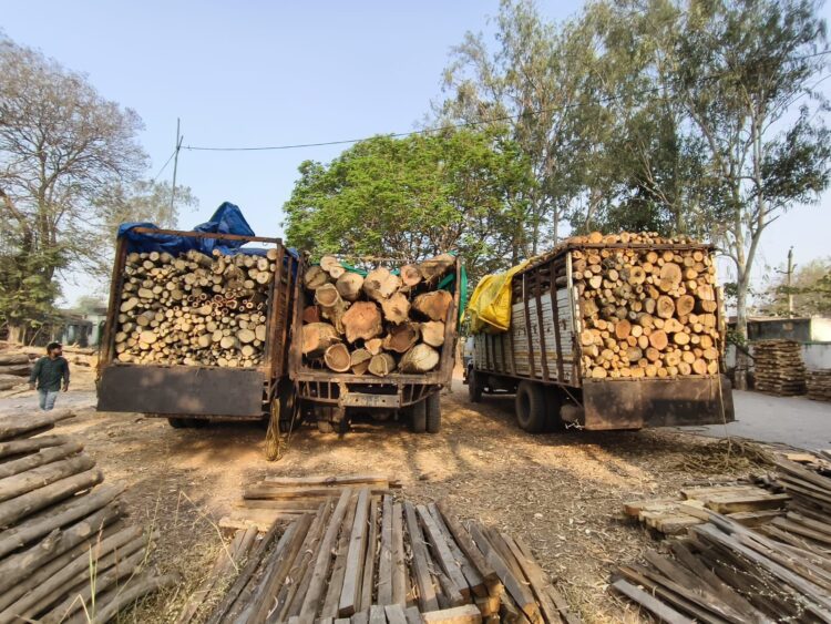 दुर्ग वन विभाग की कार्यवाही, अवैध काष्ठ परिवहन करते 4 गाड़ी जप्त