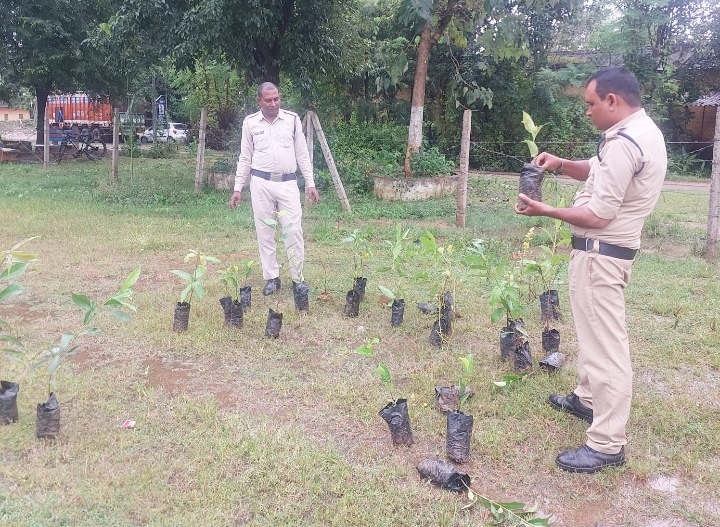 पुलिस अधीक्षक की सराहनीय पहल, ड्यूटी से गैरहाजिर पुलिसकर्मियों को पौधरोपण करने की दीं सजा
