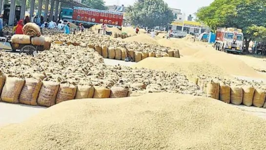 धान खरीदी में रिकॉर्ड प्रगति: प्रतिदिन 3 लाख मीट्रिक टन की खरीदी, 23.48 लाख किसानों से धान खरीदी, ₹29,597 करोड़ का भुगतान