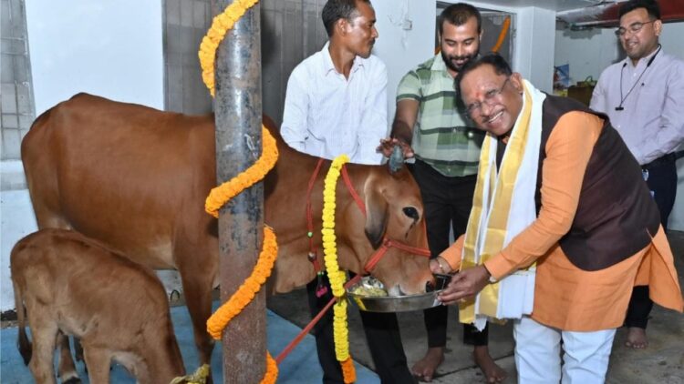मुख्यमंत्री विष्णु देव साय आज बिलासपुर से करेंगे “गौधाम योजना” का शुभारंभ, 29 जिलों में गौधाम का होगा उद्घाटन