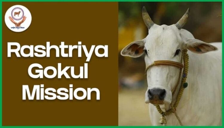 कैबिनेट ने पशुधन क्षेत्र में विकास को बढ़ावा देने के लिए संशोधित राष्ट्रीय गोकुल मिशन के कार्यान्वयन को दी मंजूरी